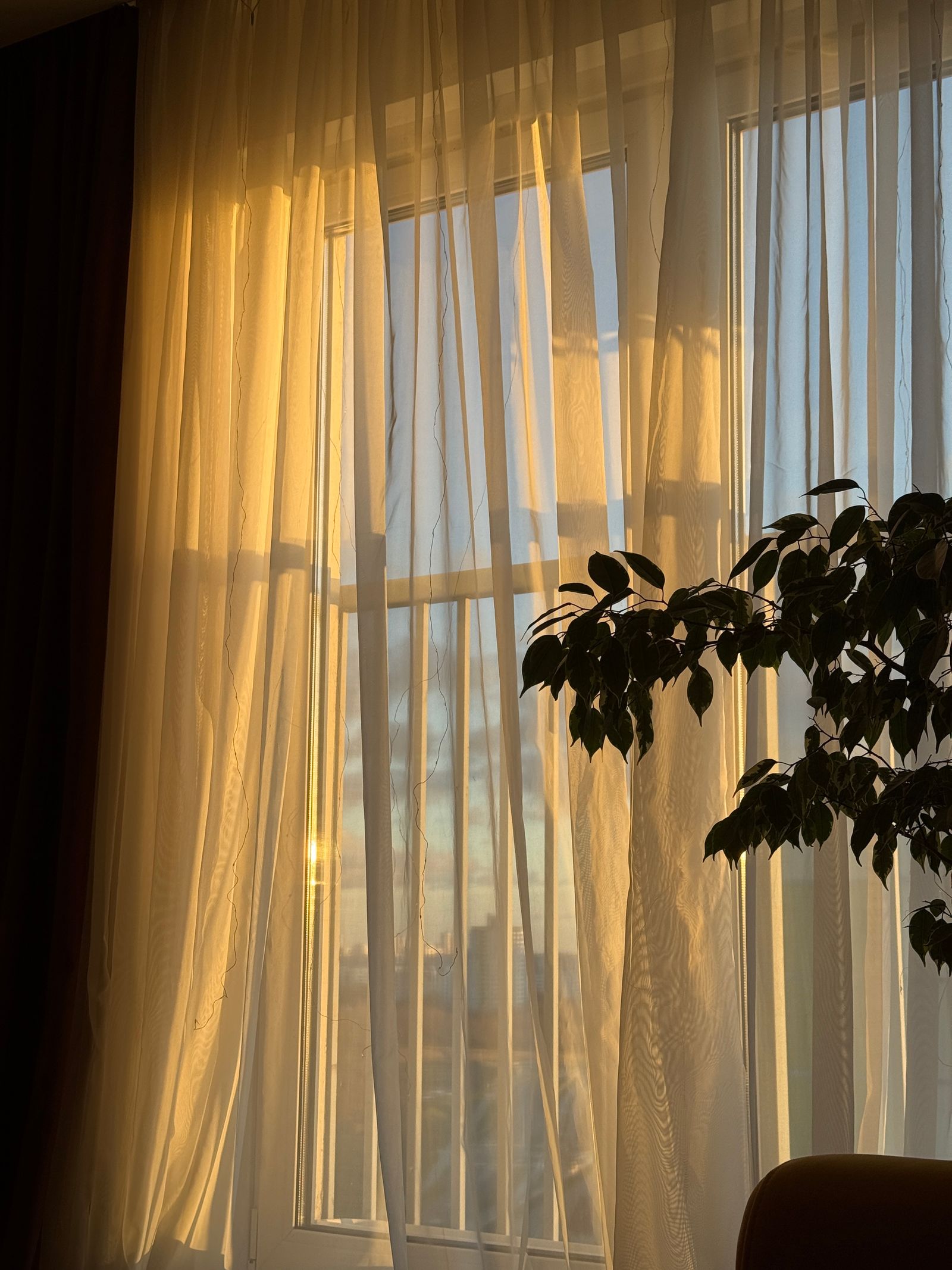 Luz calida atravesando cortinas ligeras